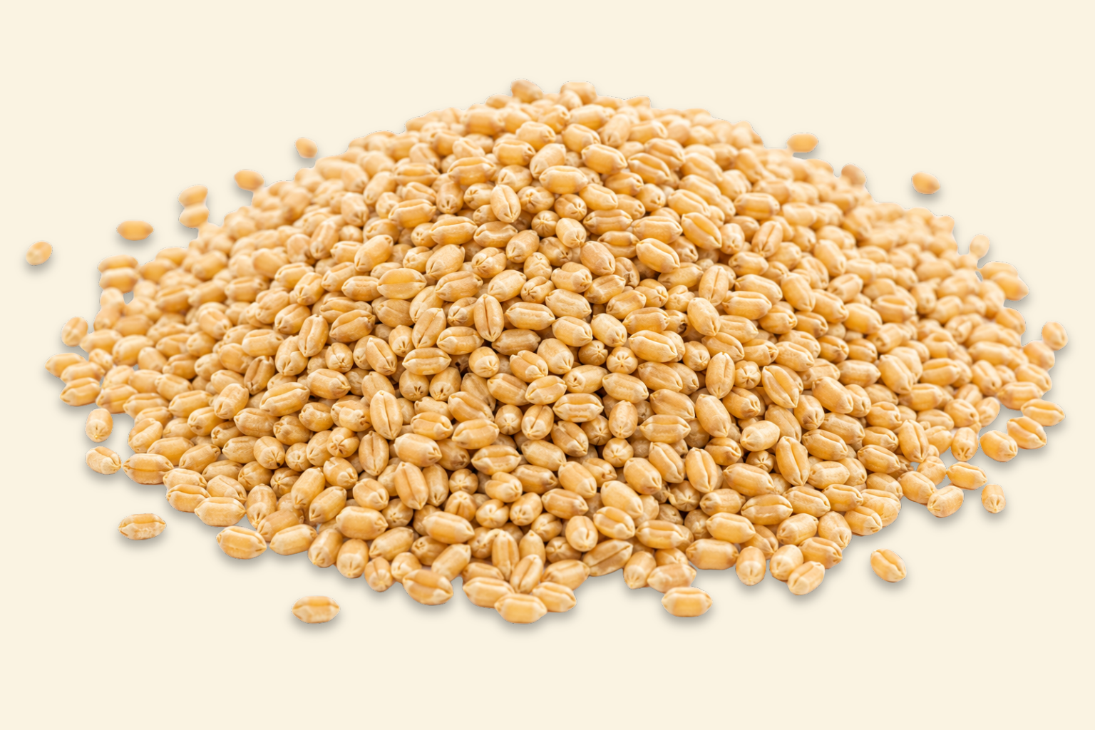 Dry grains